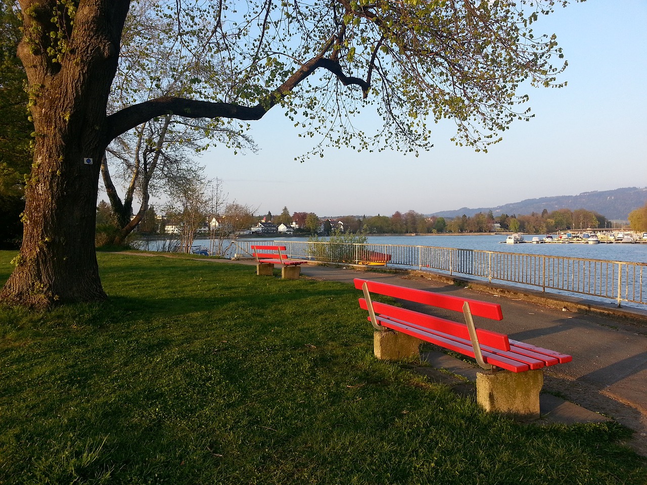 冲刺阶段尤 冲刺阶段尤