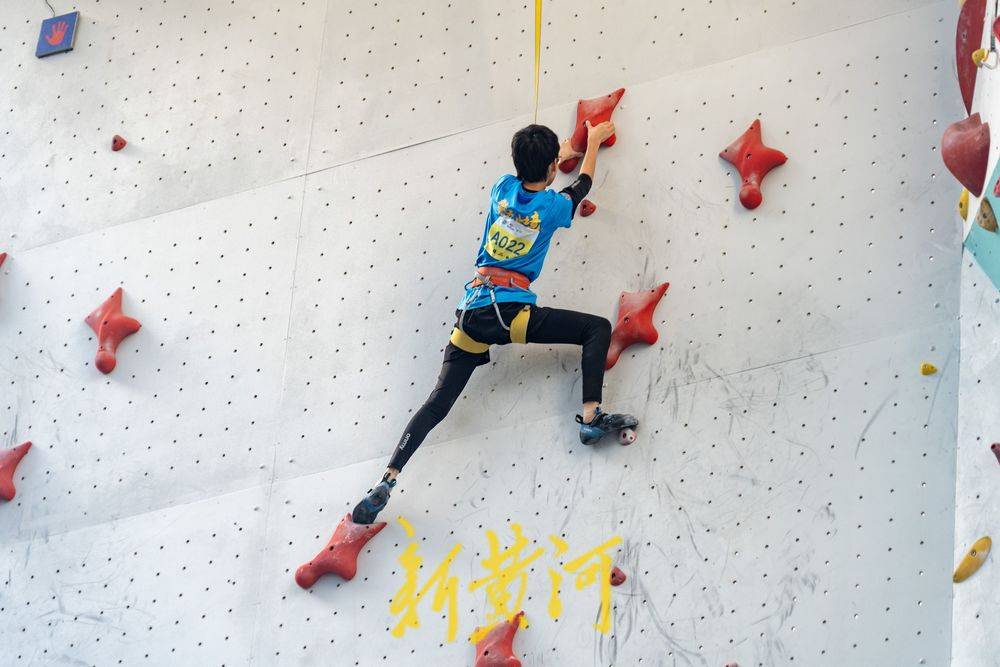 本菲卡将立 本菲卡将立