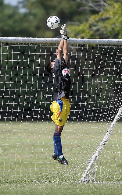 不断增长 不断增长