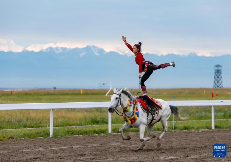 的运营眼光 的运营眼光