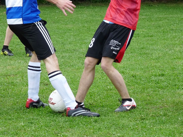 太阳队仍未 太阳队仍未